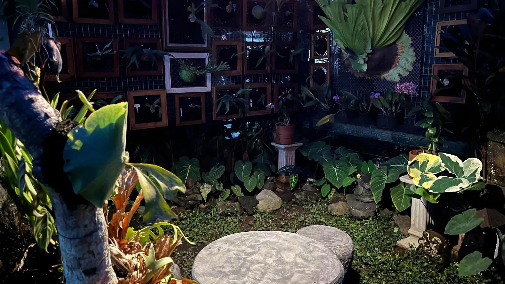 אובוד Pakjo Homestay בית הארחה
